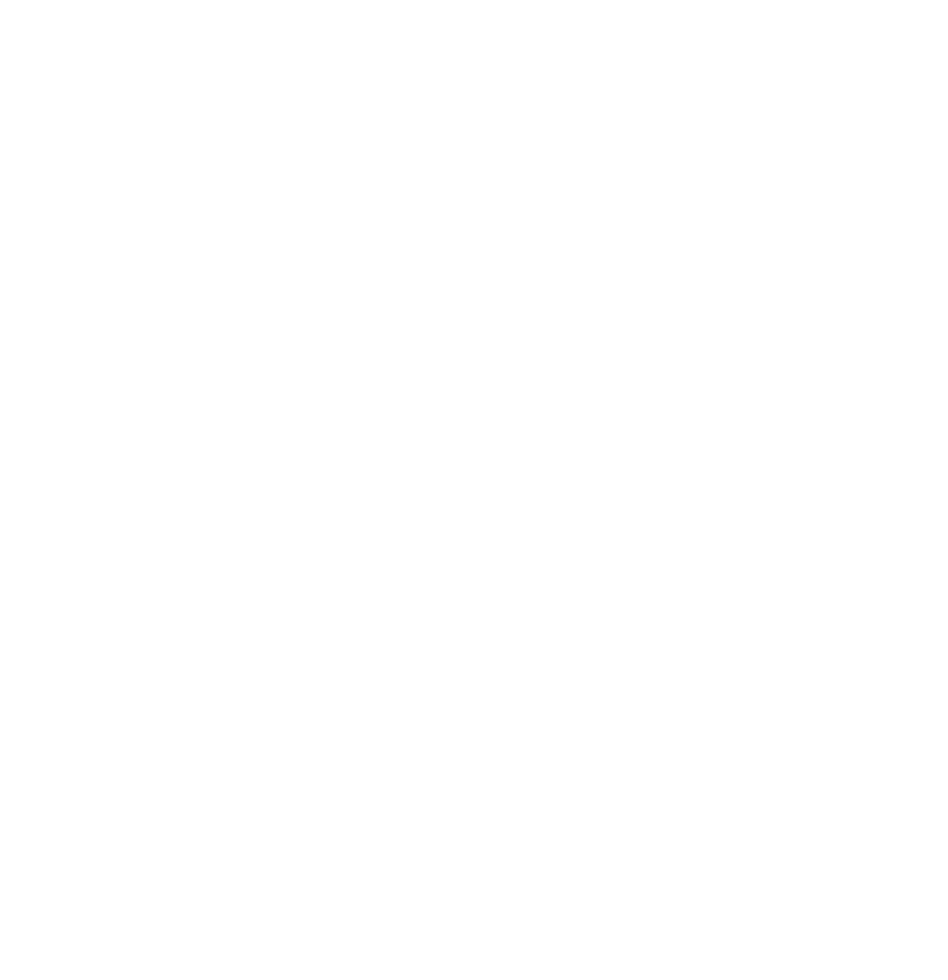 PAJAROS